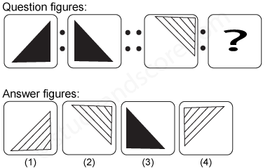 Analogy - Test 2 Solved questions with detailed explanations | Study&Score