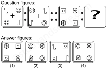 Analogy - Test 3 Solved questions with detailed explanations | Study&Score